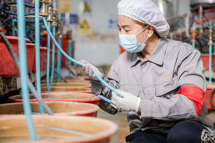 a female worker is checking the semi-finished product's quality and performance